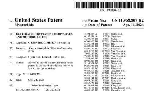 Cybin Patent